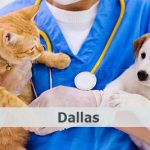 clinicas gratuitas para mascotas