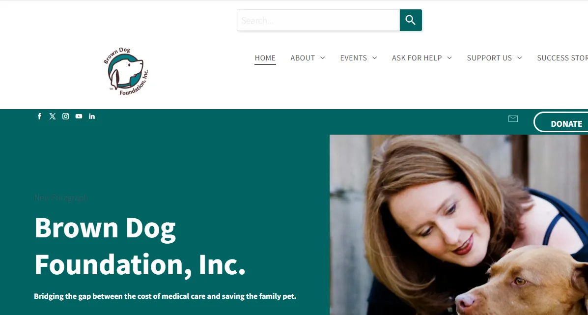 fundacion perro marron