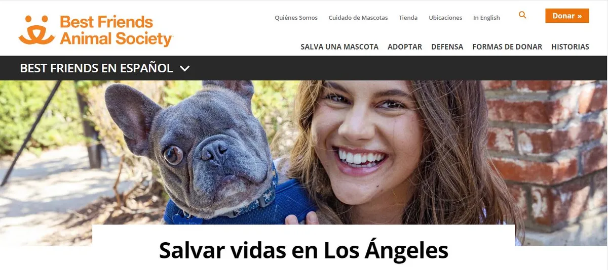 ayuda en los angeles para perros atropellados
