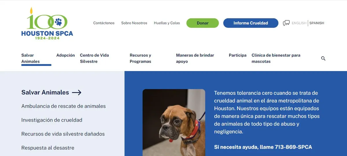 Houston SPCA ayuda para perros atropellados