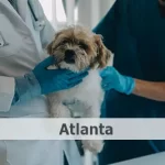 Veterinario gratis en Atlanta