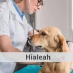 Veterinario gratis en Hialeah
